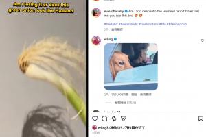 凯尔特人vs国王比赛回放_凯尔特人vs国王比赛回放高清无广告_凯尔特人vs国王比赛回放流畅直播入口