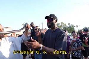 WNBA拉斯维加斯王牌vs多伦多节奏